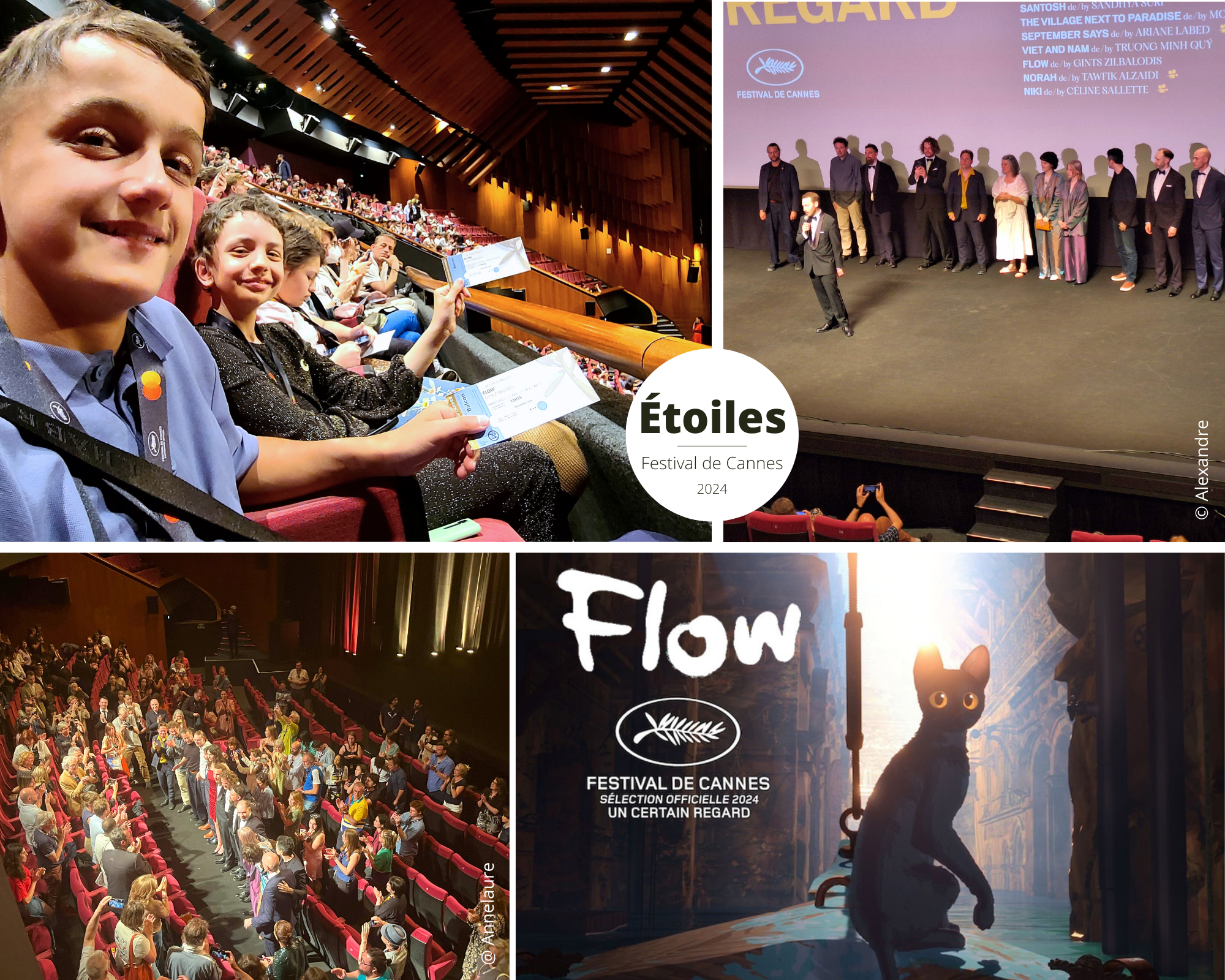 You are currently viewing Flow : le chef-d’oeuvre odysséen de Gints Zilbalodis